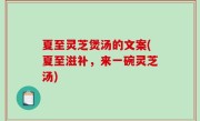 夏至灵芝煲汤的文案(夏至滋补，来一碗灵芝汤)