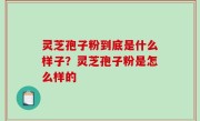 灵芝孢子粉到底是什么样子？灵芝孢子粉是怎么样的