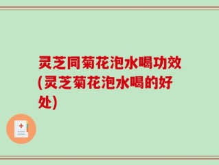 灵芝同菊花泡水喝功效(灵芝菊花泡水喝的好处)
