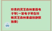 珍贵的灵芝森林里栽电子琴(一架电子琴在珍稀灵芝森林里盛放静默独奏)
