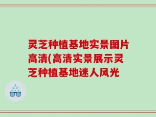 灵芝种植基地实景图片高清(高清实景展示灵芝种植基地迷人风光