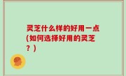 灵芝什么样的好用一点(如何选择好用的灵芝？)