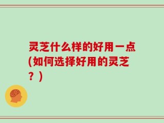 灵芝什么样的好用一点(如何选择好用的灵芝？)