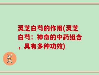 灵芝白芍的作用(灵芝白芍：神奇的中药组合，具有多种功效)