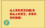 山上采的灵芝的图(采摘山上的灵芝，享受天然好健康)