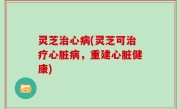 灵芝治心病(灵芝可治疗心脏病，重建心脏健康)