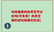 垃圾桶里的肉灵芝可以吃吗(可食用？肉灵芝被扔进垃圾桶引热议)