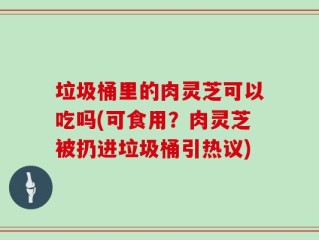 垃圾桶里的肉灵芝可以吃吗(可食用？肉灵芝被扔进垃圾桶引热议)