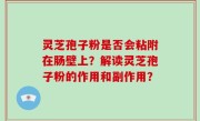 灵芝孢子粉是否会粘附在肠壁上？解读灵芝孢子粉的作用和副作用？