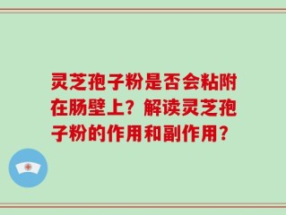 灵芝孢子粉是否会粘附在肠壁上？解读灵芝孢子粉的作用和副作用？