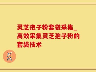 灵芝孢子粉套袋采集_高效采集灵芝孢子粉的套袋技术