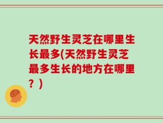 天然野生灵芝在哪里生长最多(天然野生灵芝最多生长的地方在哪里？)
