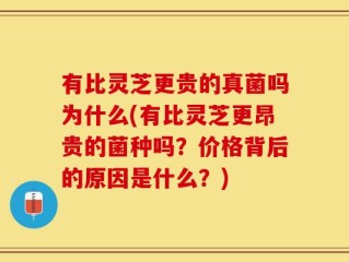 有比灵芝更贵的真菌吗为什么(有比灵芝更昂贵的菌种吗？价格背后的原因是什么？)