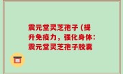 震元堂灵芝孢子 (提升免疫力，强化身体：震元堂灵芝孢子胶囊