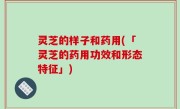 灵芝的样子和药用(「灵芝的药用功效和形态特征」)