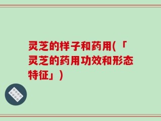 灵芝的样子和药用(「灵芝的药用功效和形态特征」)