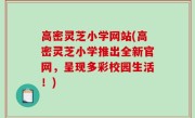 高密灵芝小学网站(高密灵芝小学推出全新官网，呈现多彩校园生活！)