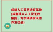 成都人工灵芝培育基地(成都建立人工灵芝种植园，为市场供应天然养生佳品)