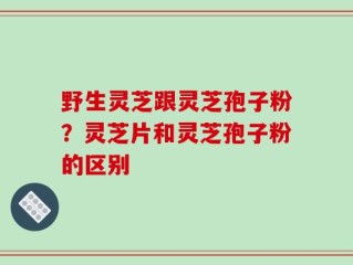 野生灵芝跟灵芝孢子粉？灵芝片和灵芝孢子粉的区别