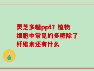 灵芝多糖ppt？植物细胞中常见的多糖除了纤维素还有什么