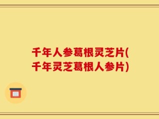 千年人参葛根灵芝片(千年灵芝葛根人参片)
