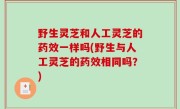 野生灵芝和人工灵芝的药效一样吗(野生与人工灵芝的药效相同吗？)