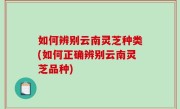 如何辨别云南灵芝种类(如何正确辨别云南灵芝品种)