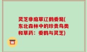 灵芝非庭草辽鹤委鹜(东北森林中的珍贵鸟类和草药：委鹤与灵芝)