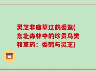 灵芝非庭草辽鹤委鹜(东北森林中的珍贵鸟类和草药：委鹤与灵芝)