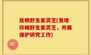 反柄野生紫灵芝(发现珍稀野生紫灵芝，开展保护研究工作)