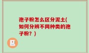 孢子粉怎么区分泥土(如何分辨不同种类的孢子粉？)