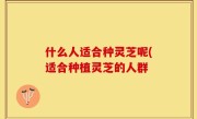 什么人适合种灵芝呢(适合种植灵芝的人群