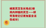 蜂窝灵芝生长地点(蜂房内种植的灵芝——研究发现它们更加富含活性成分)