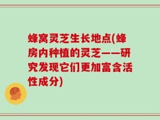 蜂窝灵芝生长地点(蜂房内种植的灵芝——研究发现它们更加富含活性成分)