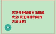 灵芝母种制做方法图解大全(灵芝母种的制作方法详解)