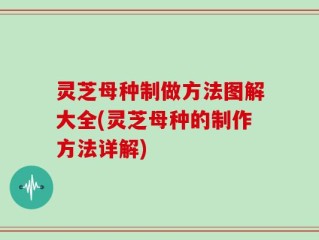 灵芝母种制做方法图解大全(灵芝母种的制作方法详解)