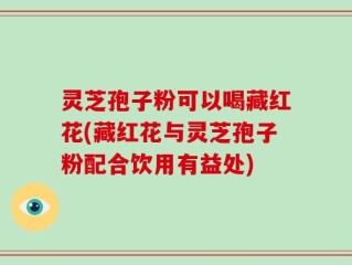 灵芝孢子粉可以喝藏红花(藏红花与灵芝孢子粉配合饮用有益处)