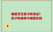 破壁灵芝孢子粉清远？孢子粉破壳与破壁区别