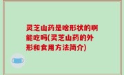 灵芝山药是啥形状的啊能吃吗(灵芝山药的外形和食用方法简介)
