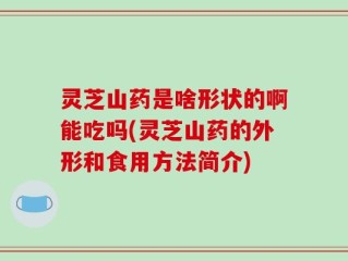 灵芝山药是啥形状的啊能吃吗(灵芝山药的外形和食用方法简介)