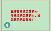 在哪里找收灵芝的人(寻找收购灵芝的人，或灵芝采购者告知！)