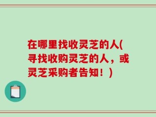 在哪里找收灵芝的人(寻找收购灵芝的人，或灵芝采购者告知！)