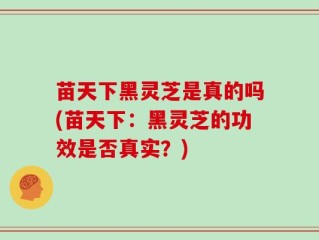 苗天下黑灵芝是真的吗(苗天下：黑灵芝的功效是否真实？)