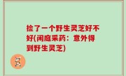 捡了一个野生灵芝好不好(闲庭采药：意外得到野生灵芝)