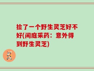 捡了一个野生灵芝好不好(闲庭采药：意外得到野生灵芝)