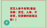 灵芝人参不老草(重返青春：灵芝、人参、不老草，你需要的就是这些！)