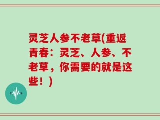 灵芝人参不老草(重返青春：灵芝、人参、不老草，你需要的就是这些！)