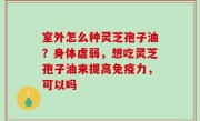 室外怎么种灵芝孢子油？身体虚弱，想吃灵芝孢子油来提高免疫力，可以吗