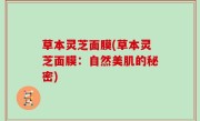 草本灵芝面膜(草本灵芝面膜：自然美肌的秘密)