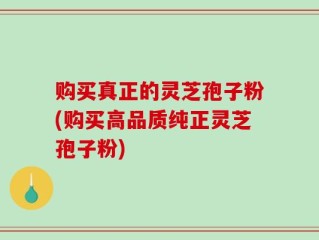 购买真正的灵芝孢子粉(购买高品质纯正灵芝孢子粉)